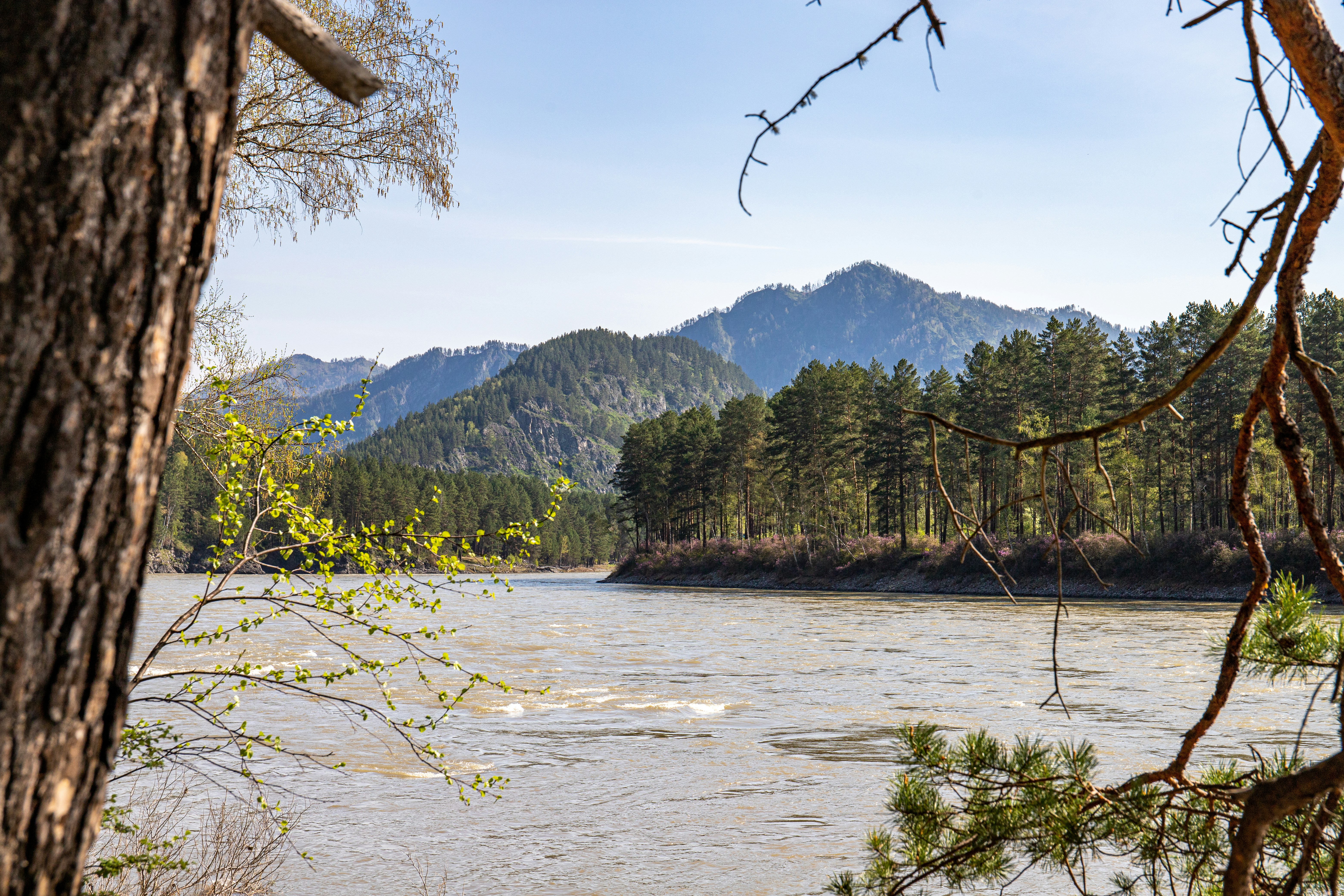 Photo by solomonikvik