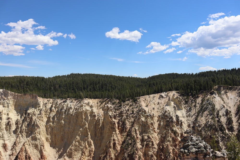 green trees on brown rocky mountain under blue sky during daytime