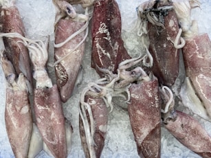 red and white fish on white ceramic plate