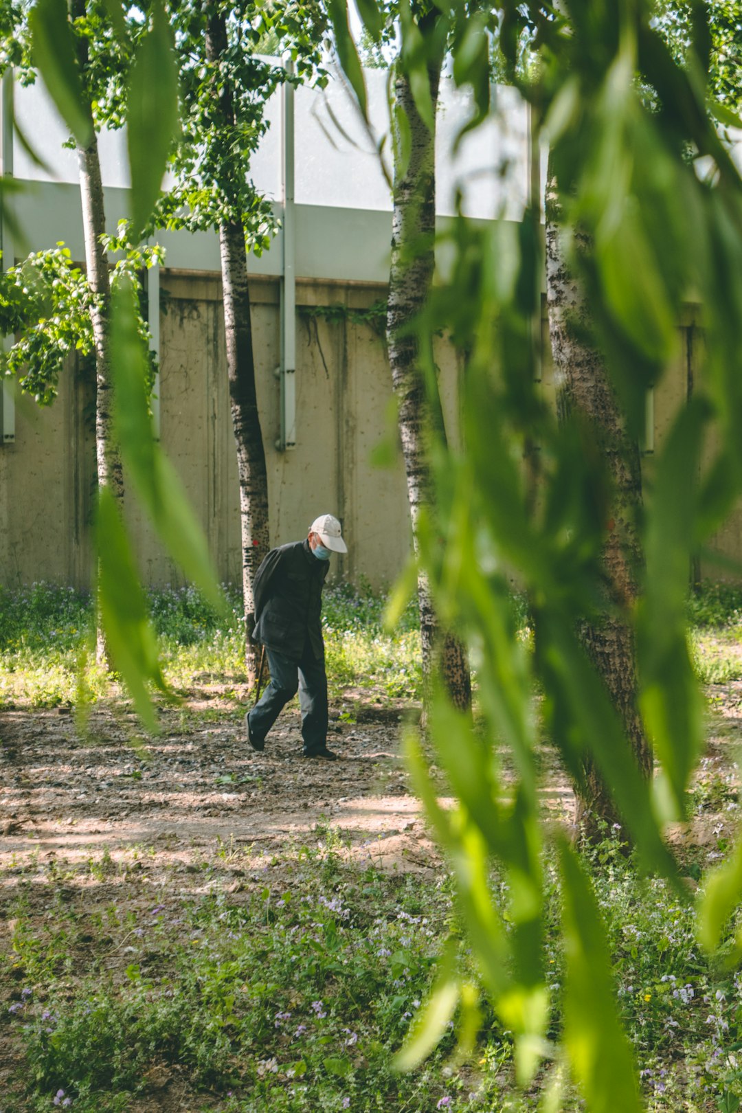 man in black suit standing near green plants during daytime