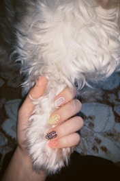 A hand with colorful, artistic nail art holds a fluffy white dog's paw. The nails feature intricate designs, such as stripes and swirls. The dog's fur is curly and white, and it contrasts with the painted nails.