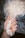 A hand with colorful, artistic nail art holds a fluffy white dog's paw. The nails feature intricate designs, such as stripes and swirls. The dog's fur is curly and white, and it contrasts with the painted nails.