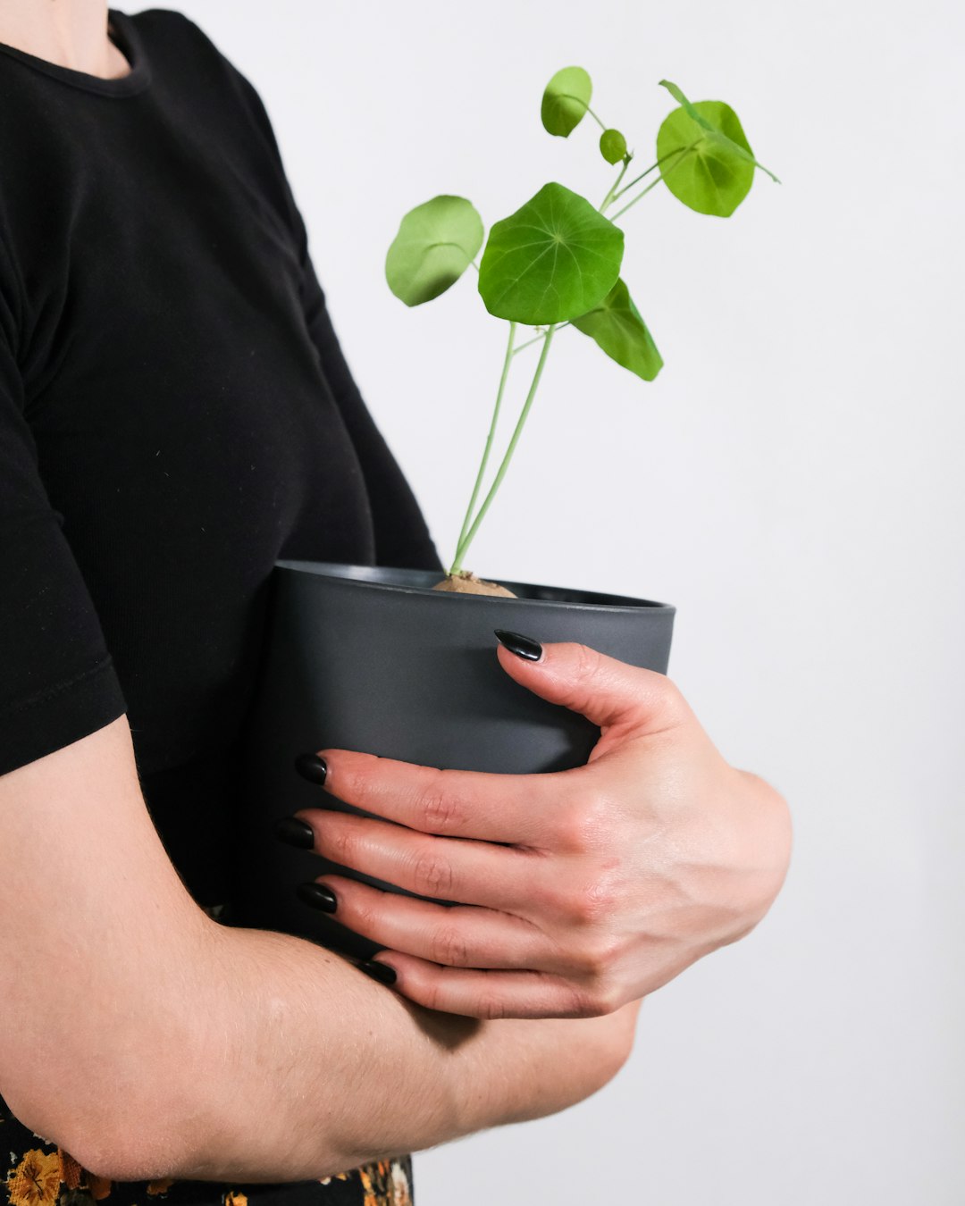 person holding black ceramic mug with green plant