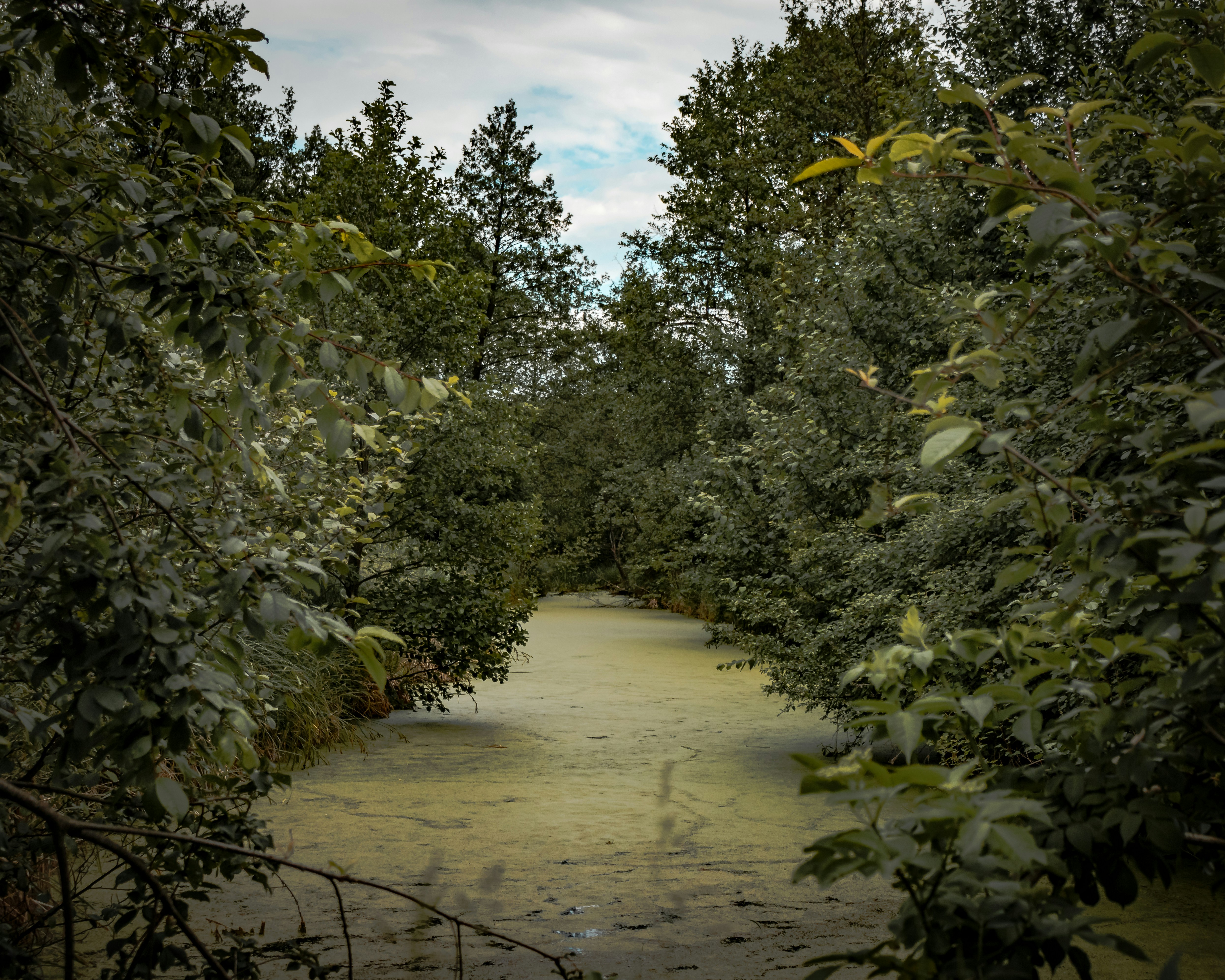 Orr Park