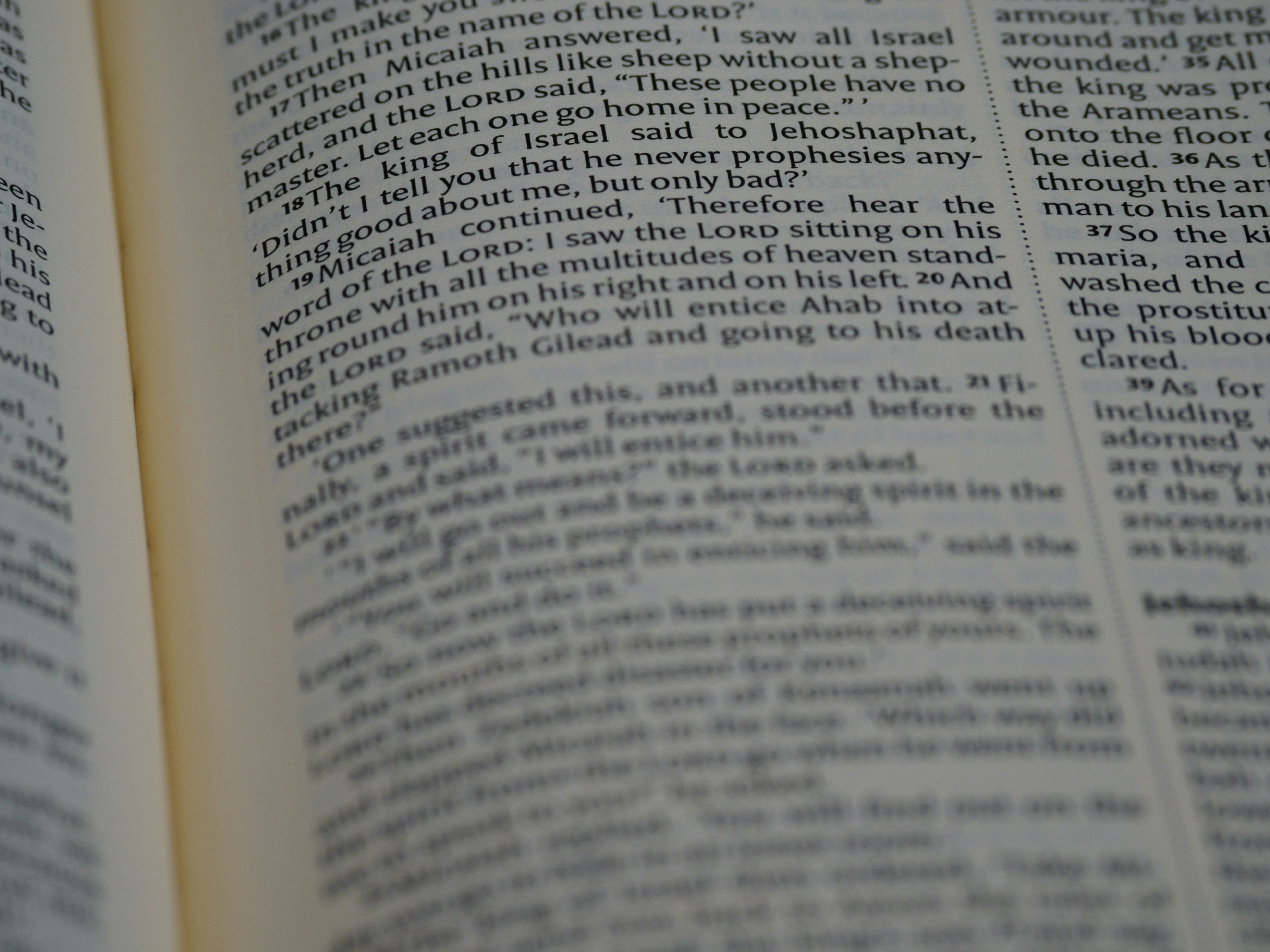 Photo by brett_jordan