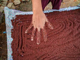 Close-up of hands examining local grains on a rustic wooden table