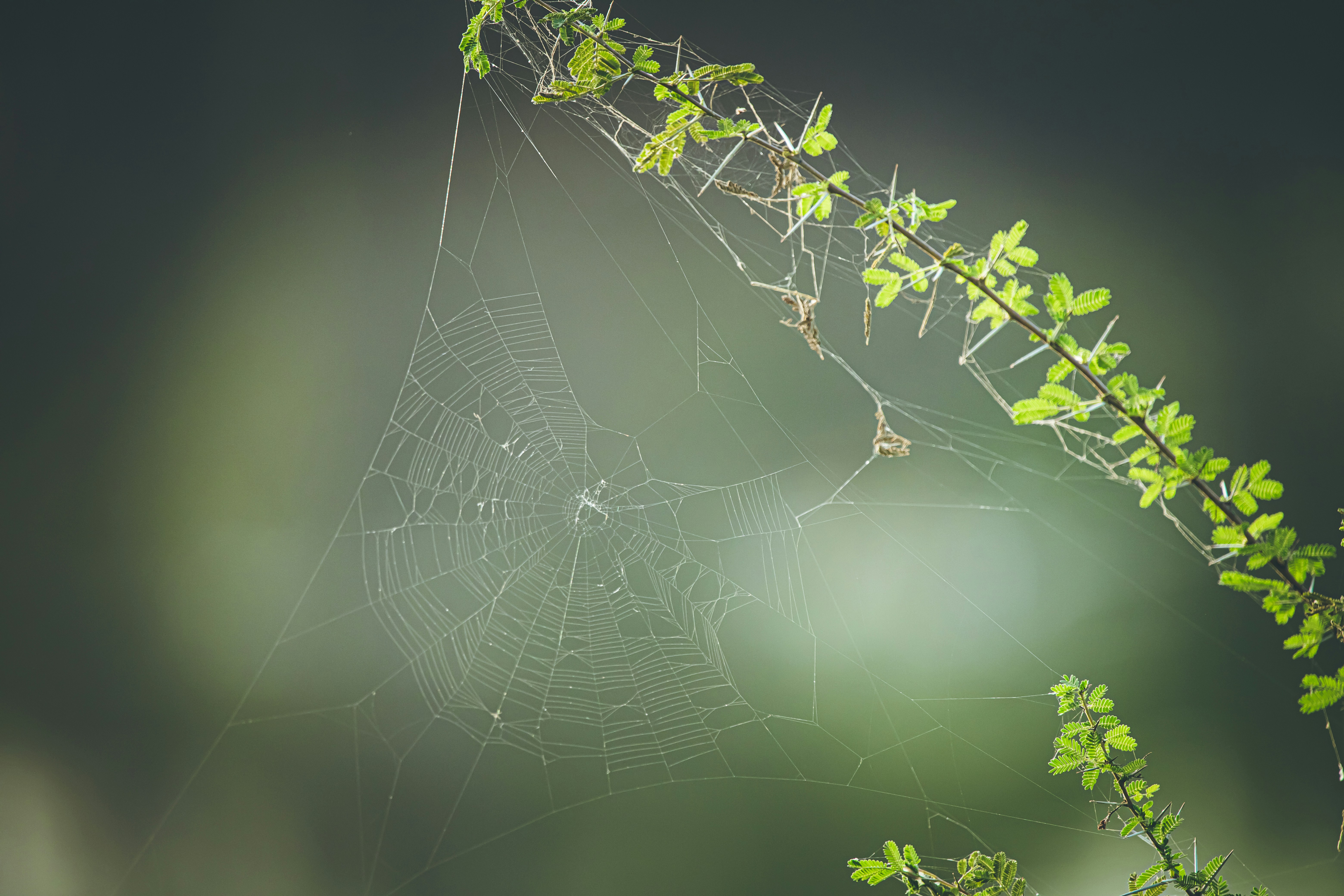 Photo by wildandbeyondbyvivek