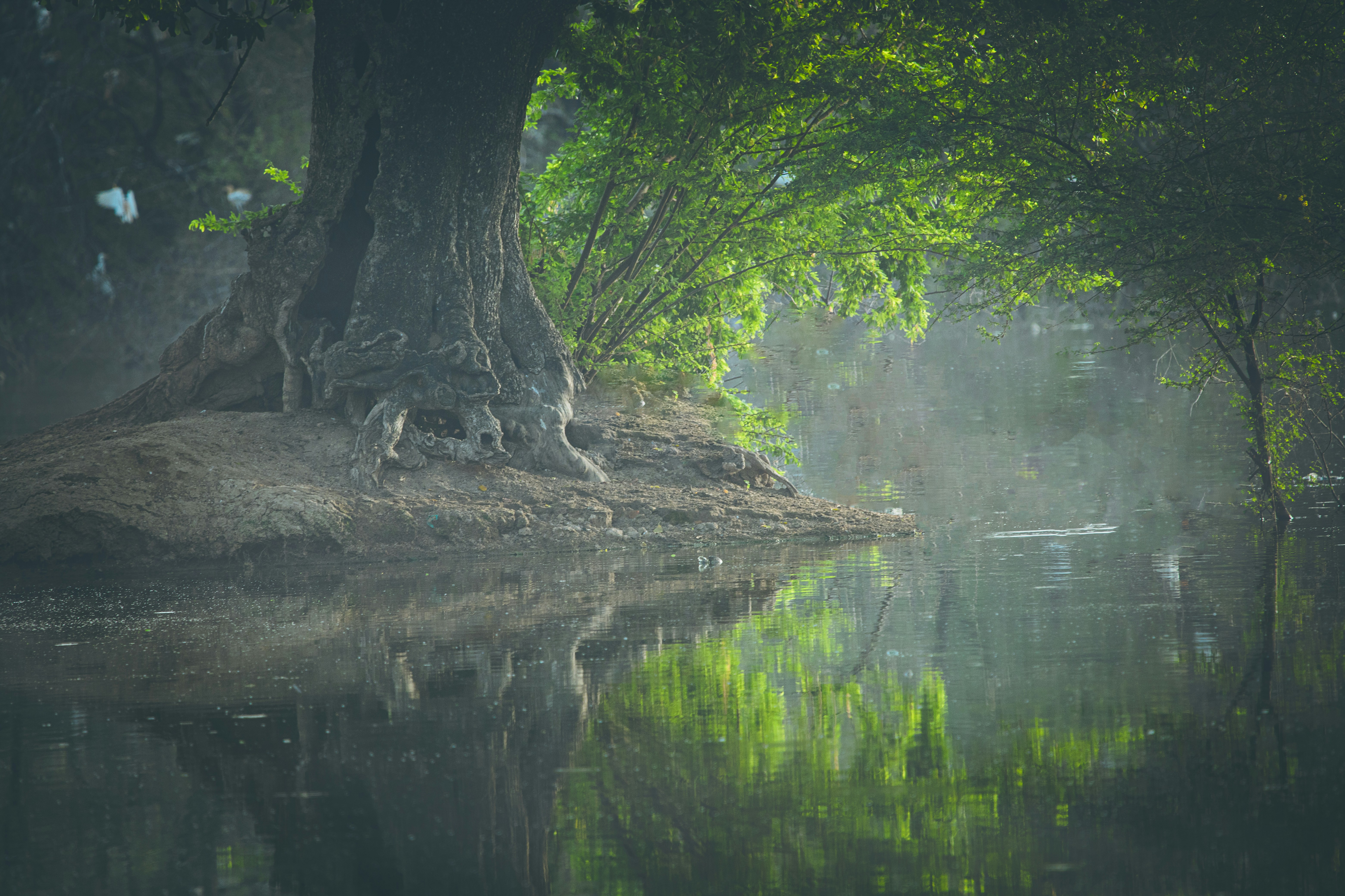 Photo by wildandbeyondbyvivek