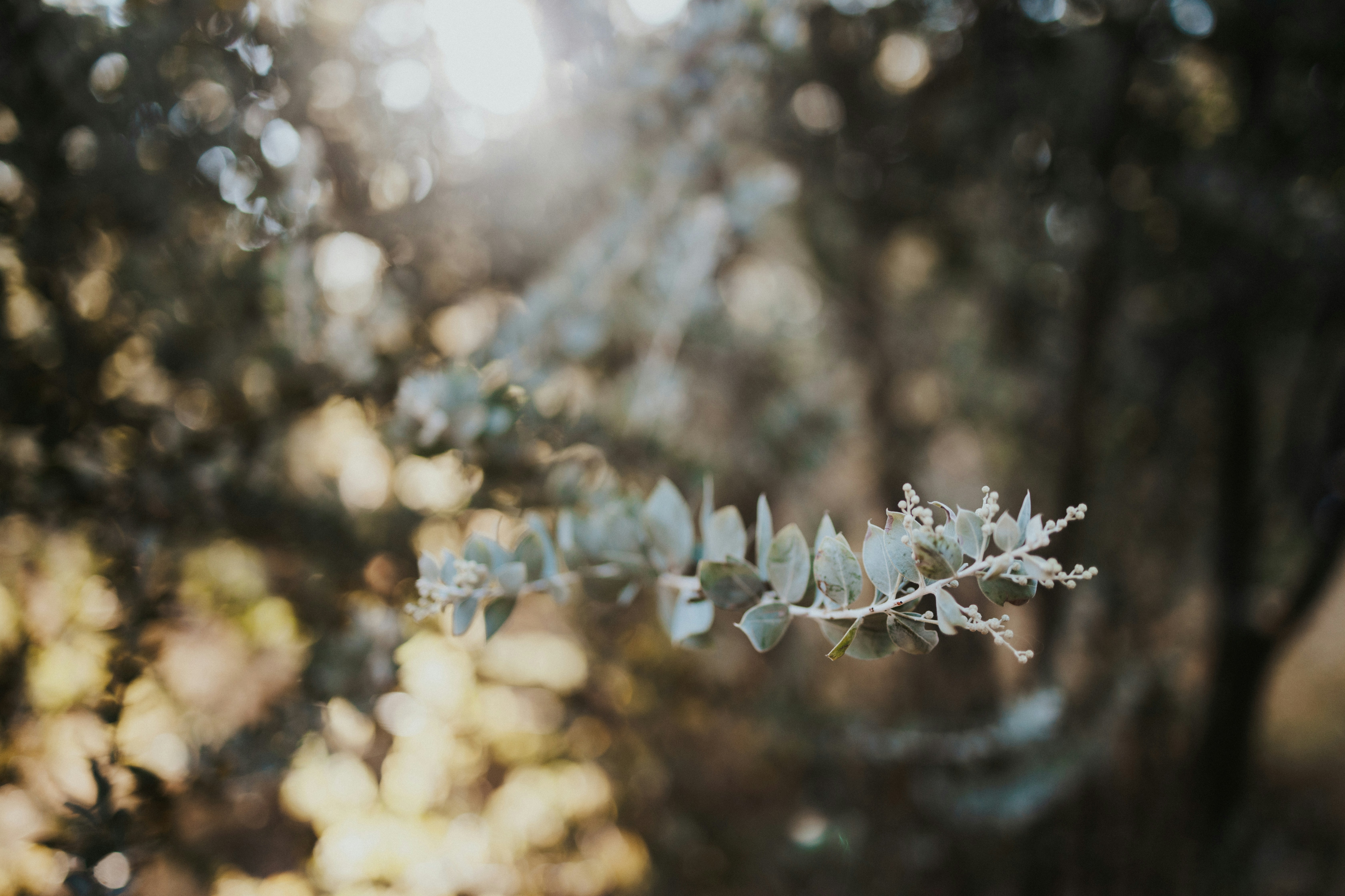 Photo by melissaleigh