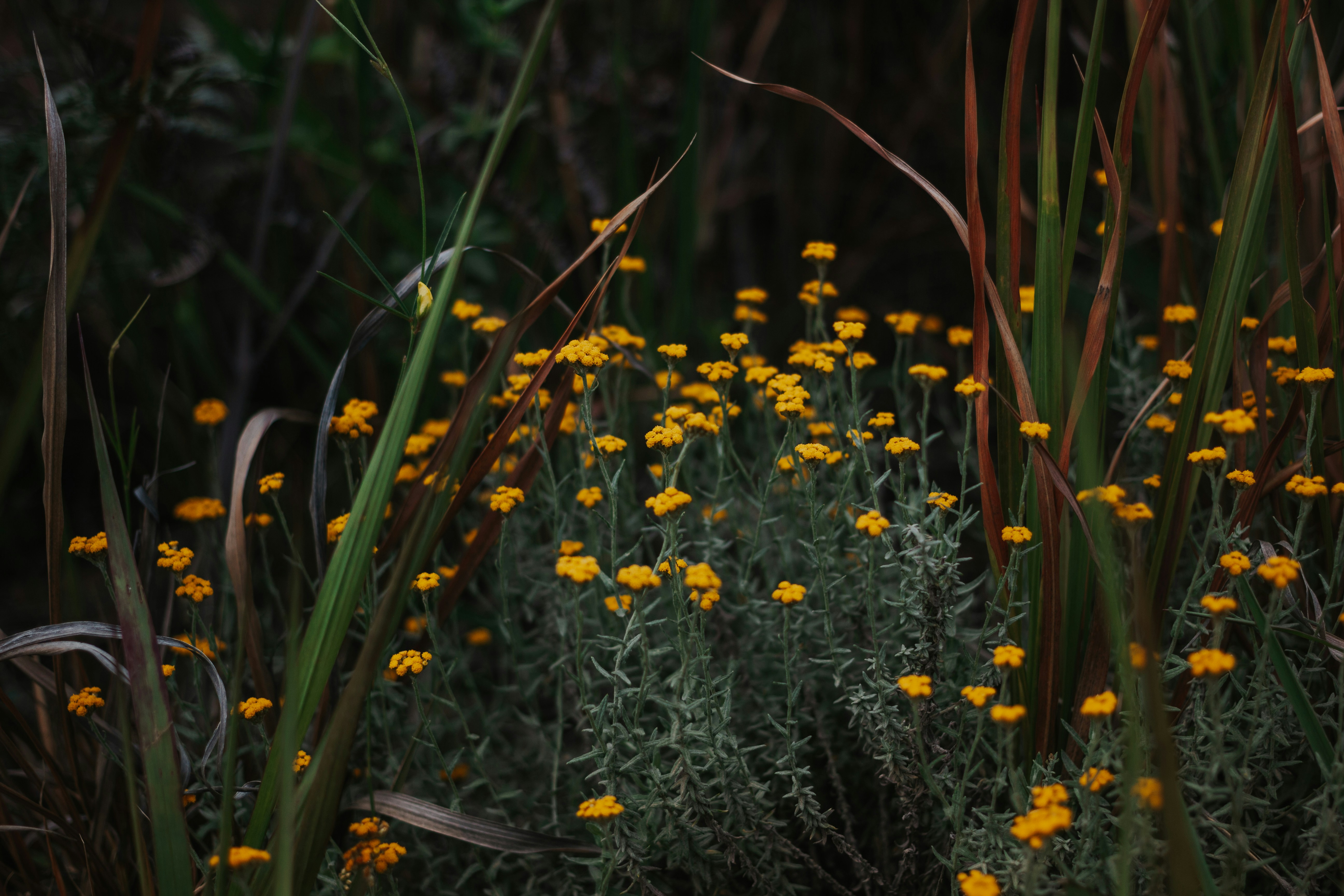 Photo by melissaleigh