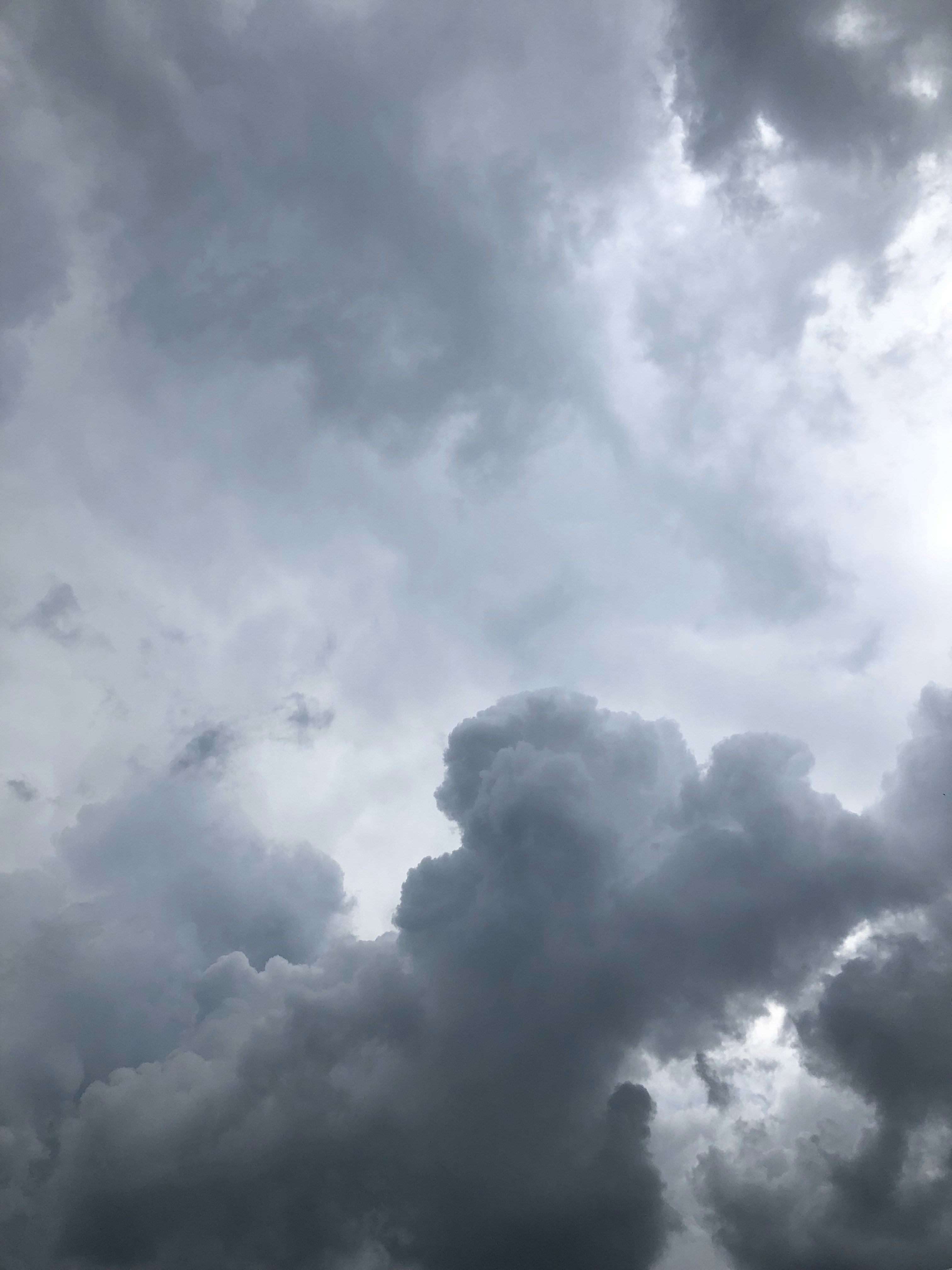 white clouds in the sky