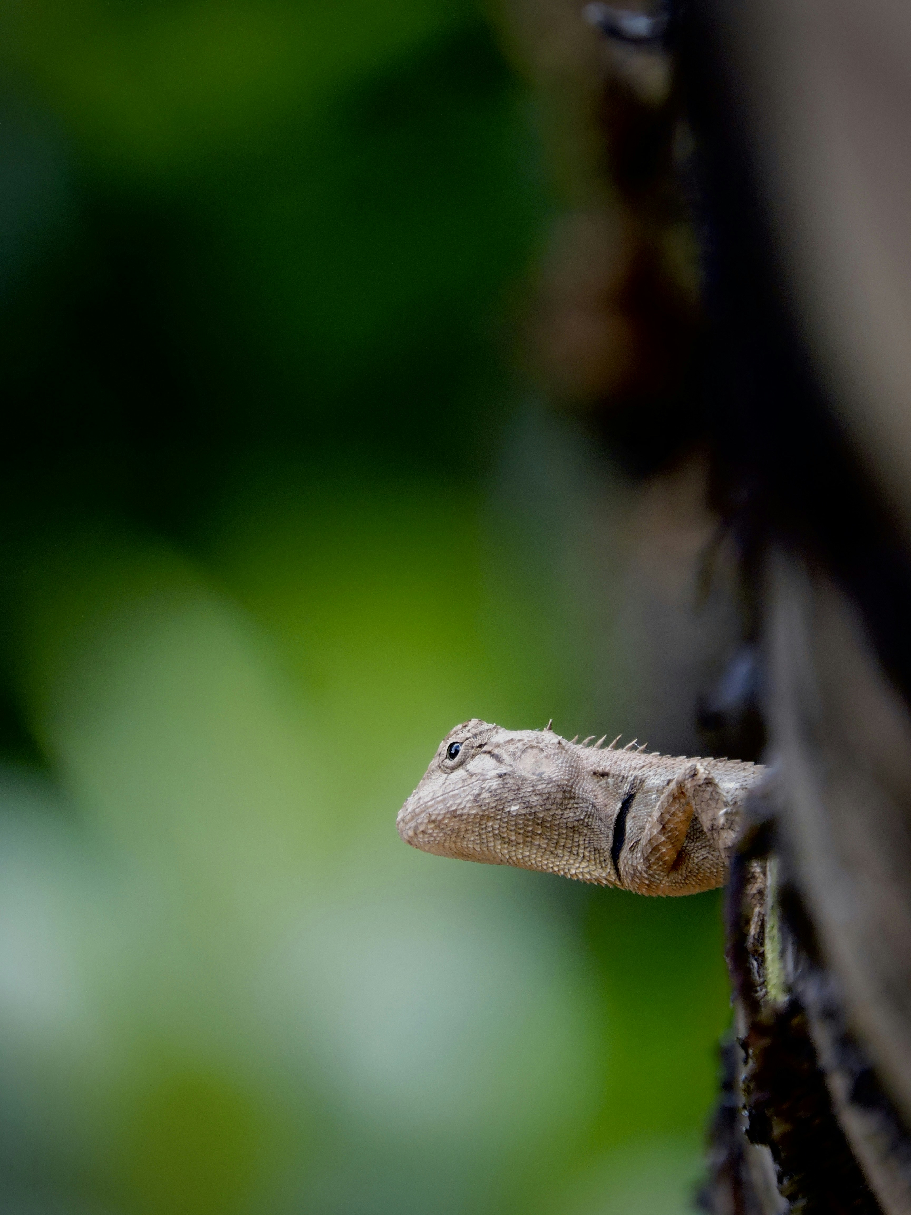 Photo by karthik_kashyap