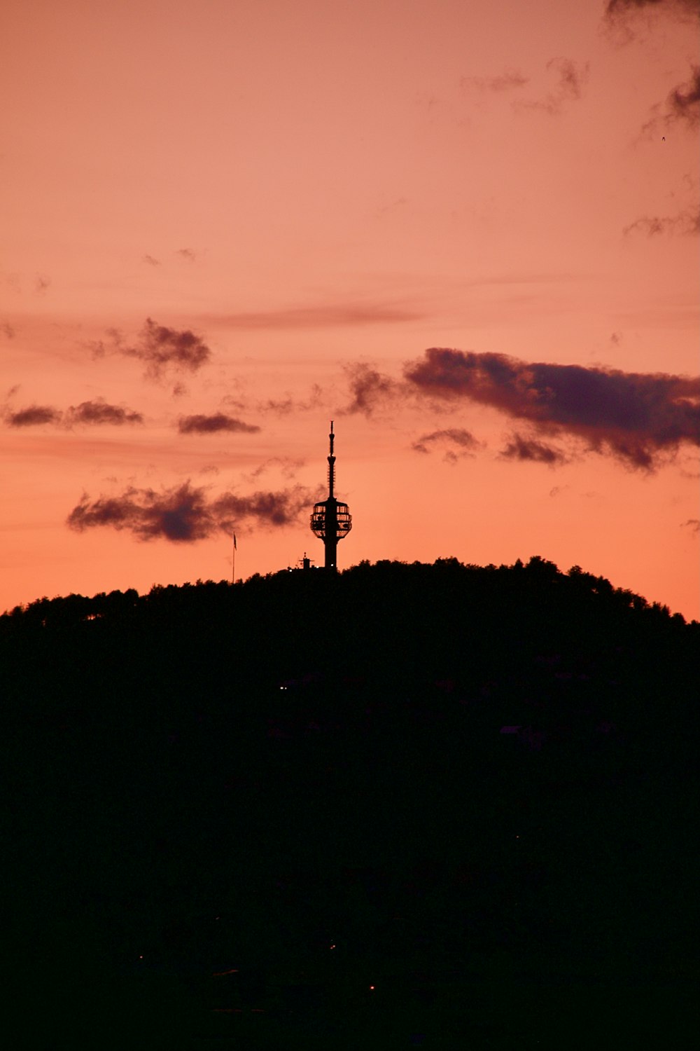 silhouette of trees during sunset