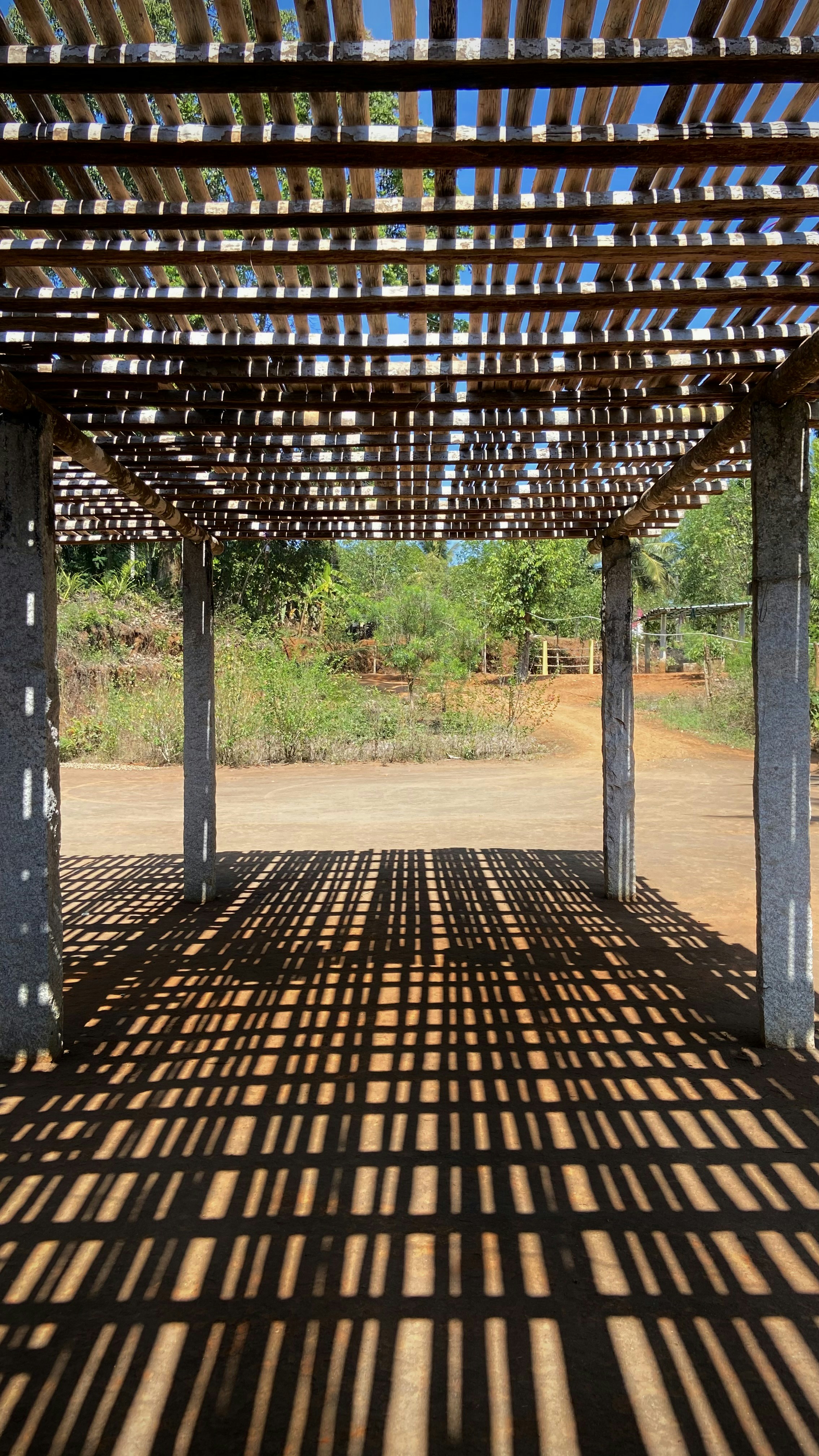 Elegant Pergola Shade