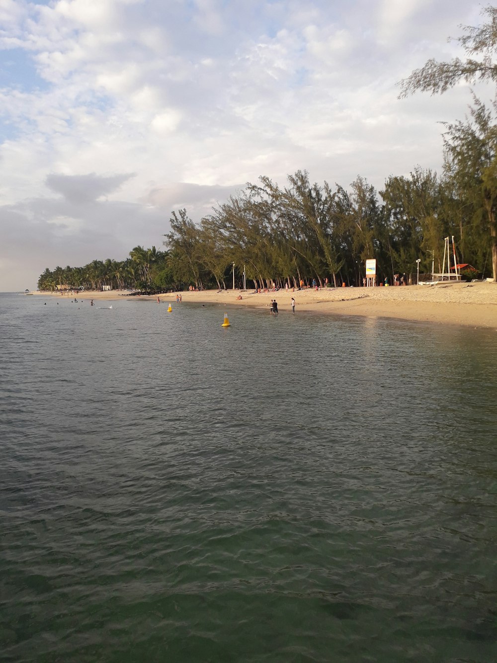 people on beach during daytime