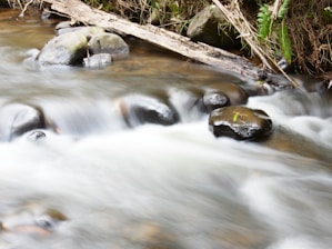 Smooth flowing water over rocks in a natural stream. The water appears to be moving quickly, creating a serene and tranquil atmosphere. Lush greenery and a few fallen branches border the stream, suggesting a forest or woodland setting.