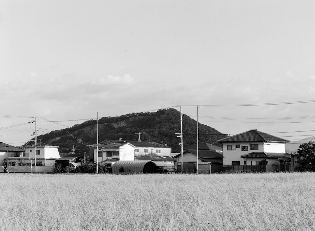 grayscale photo of houses and trees