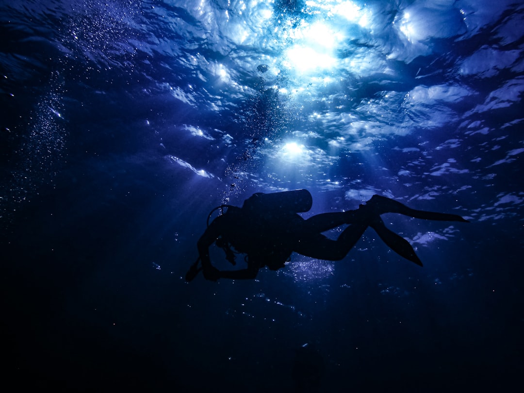 person in black wetsuit under water