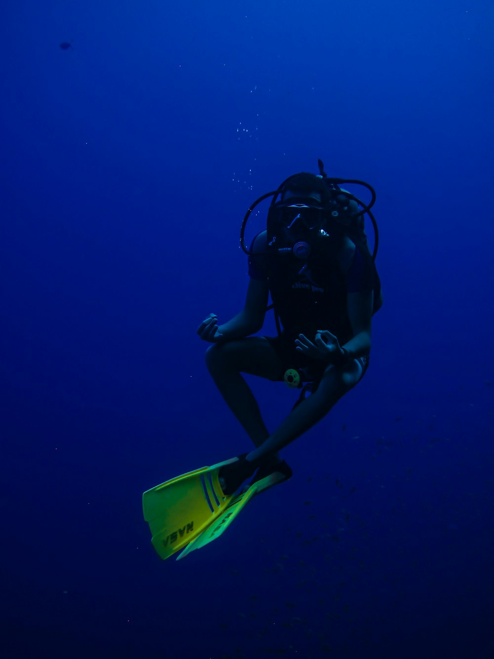 person in black and green wet suit under water