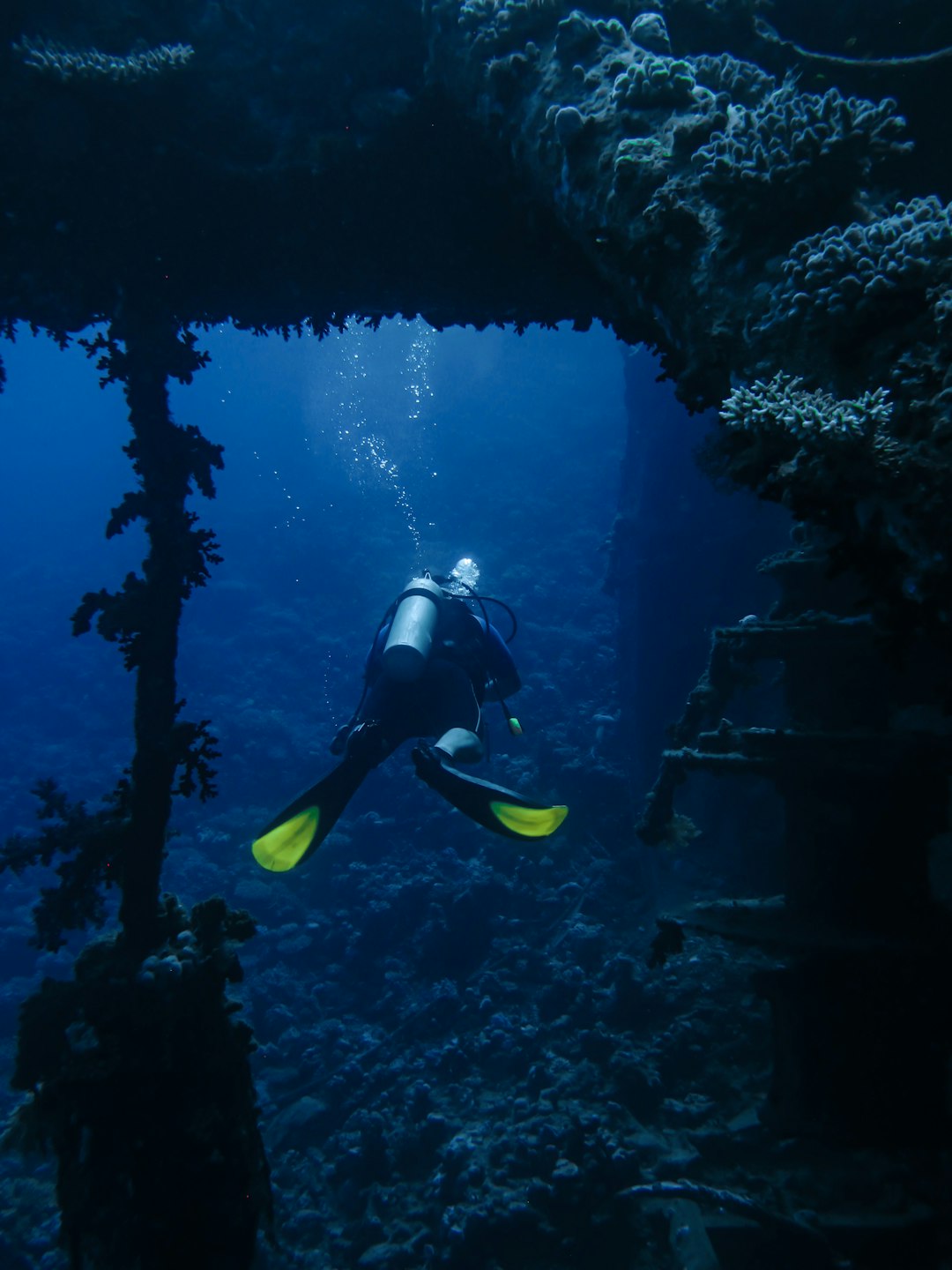 person in black and yellow wet suit under water