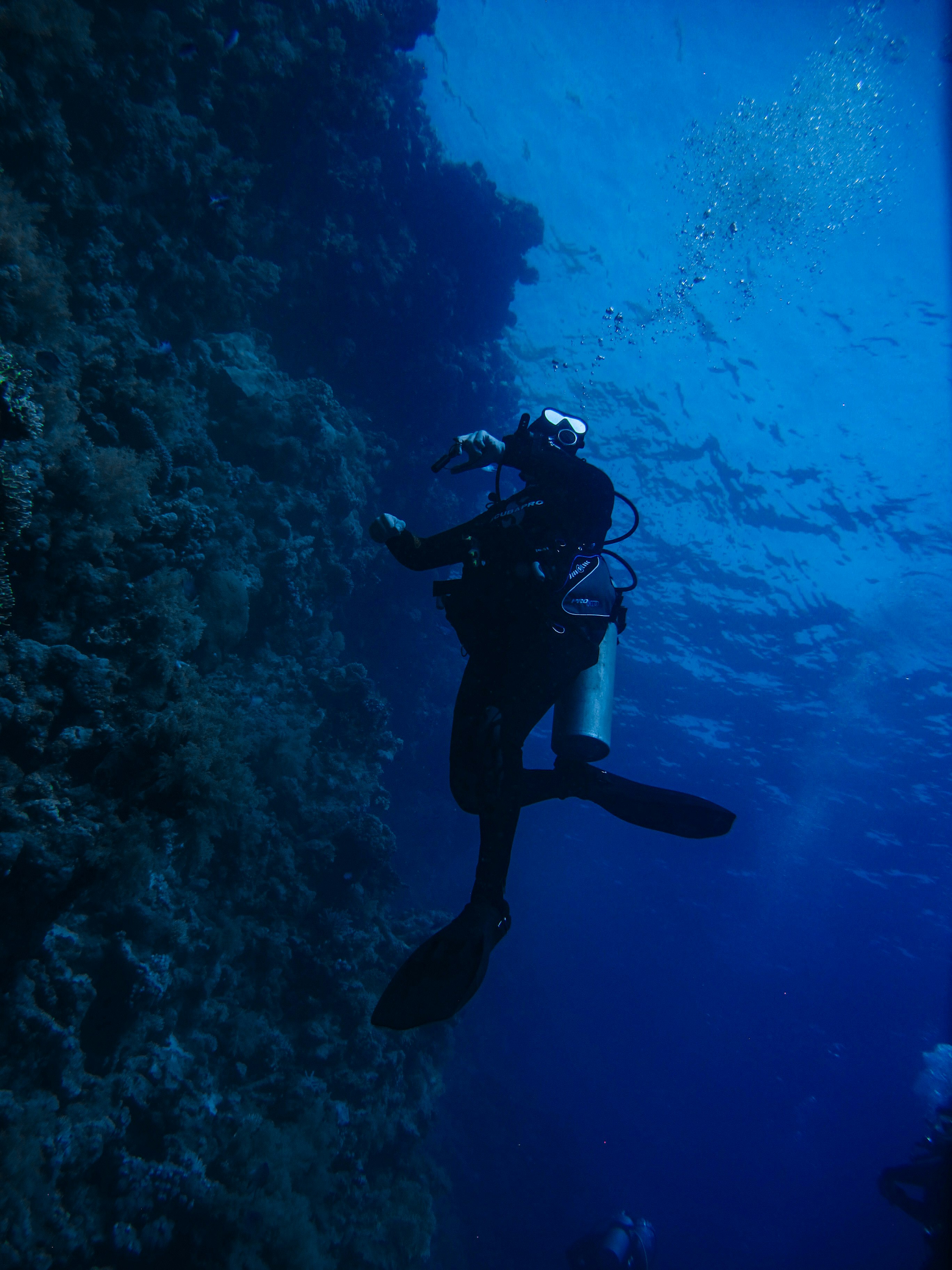 person in black diving suit under water