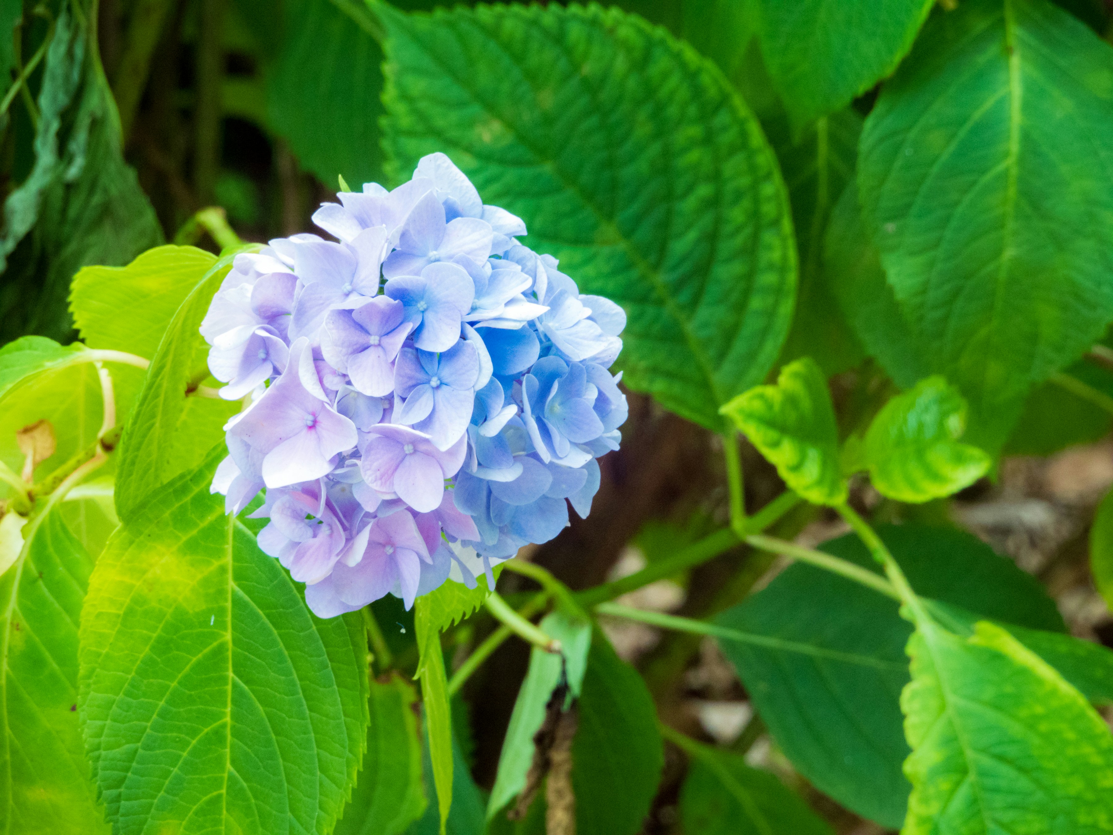 Photo by heppoko_yama