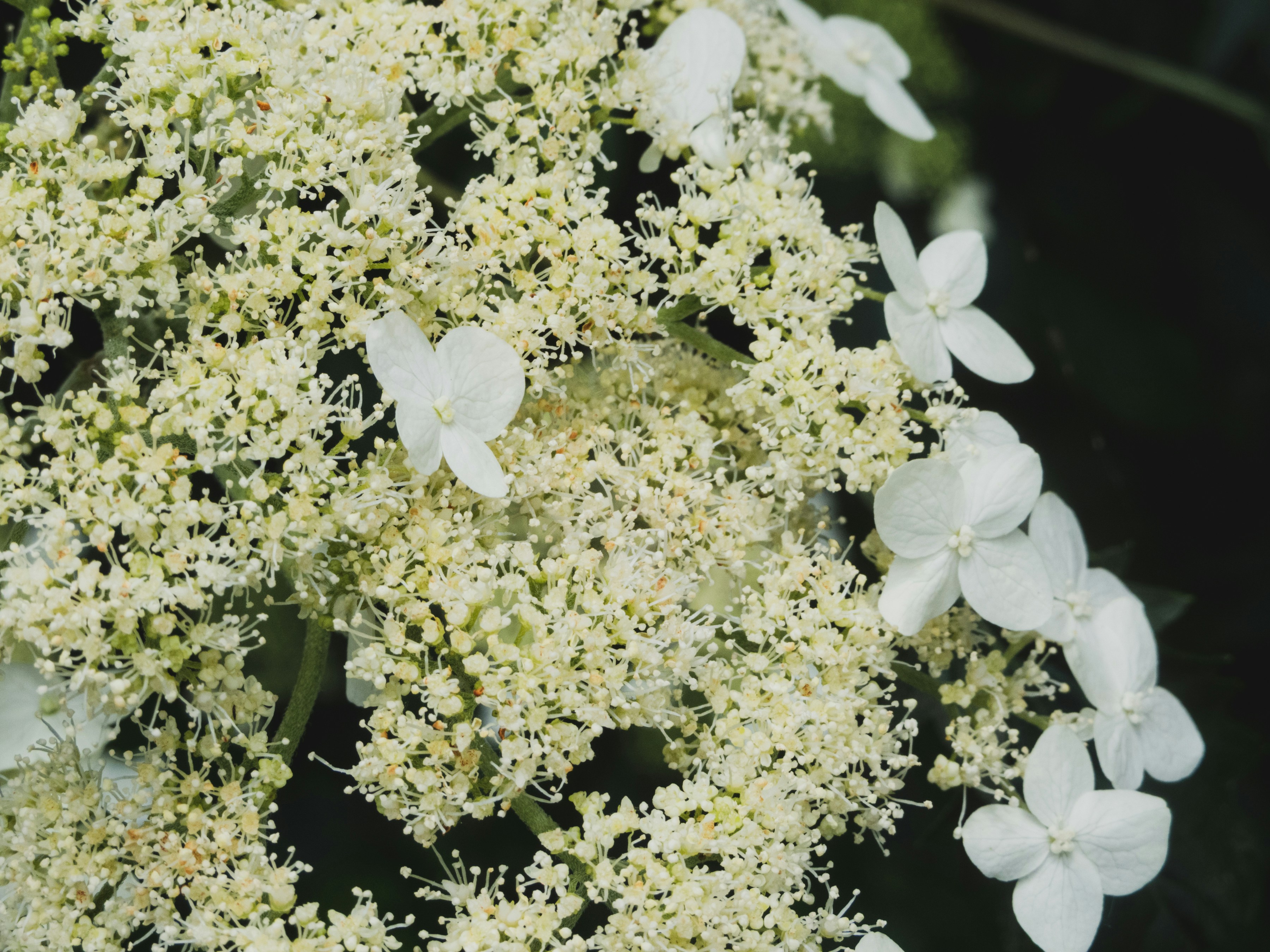 Photo by heppoko_yama