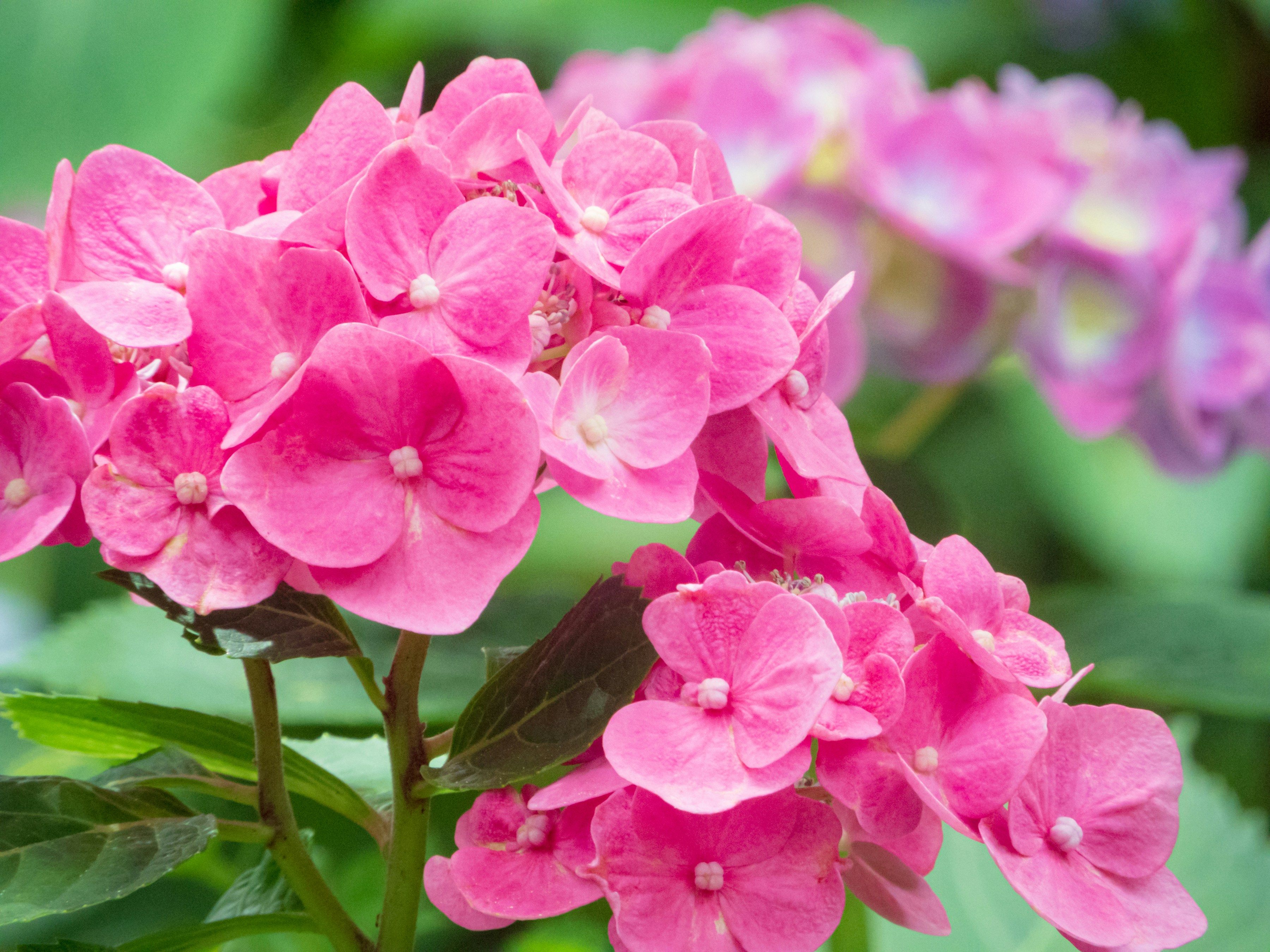 Photo by heppoko_yama