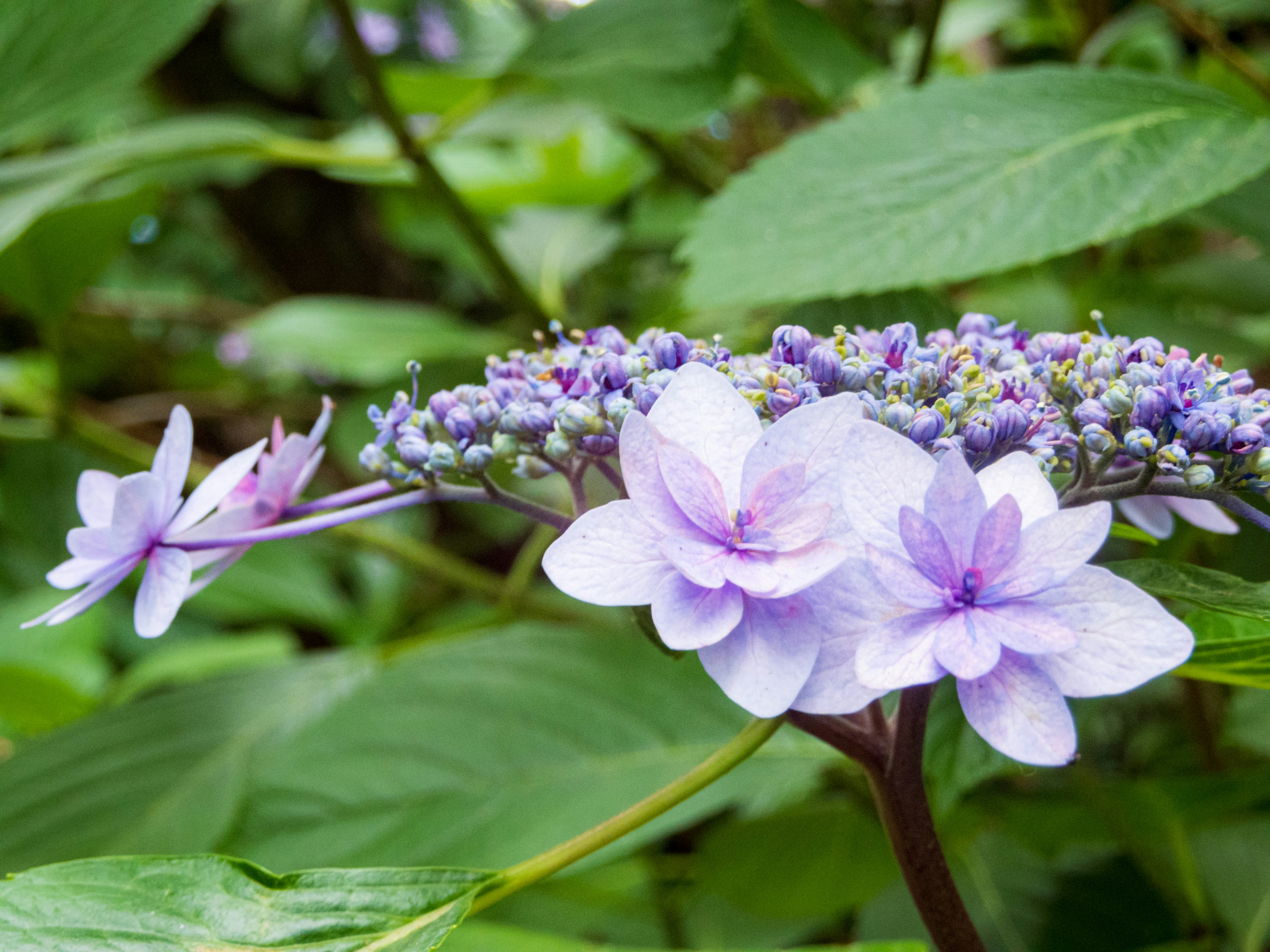 Photo by heppoko_yama