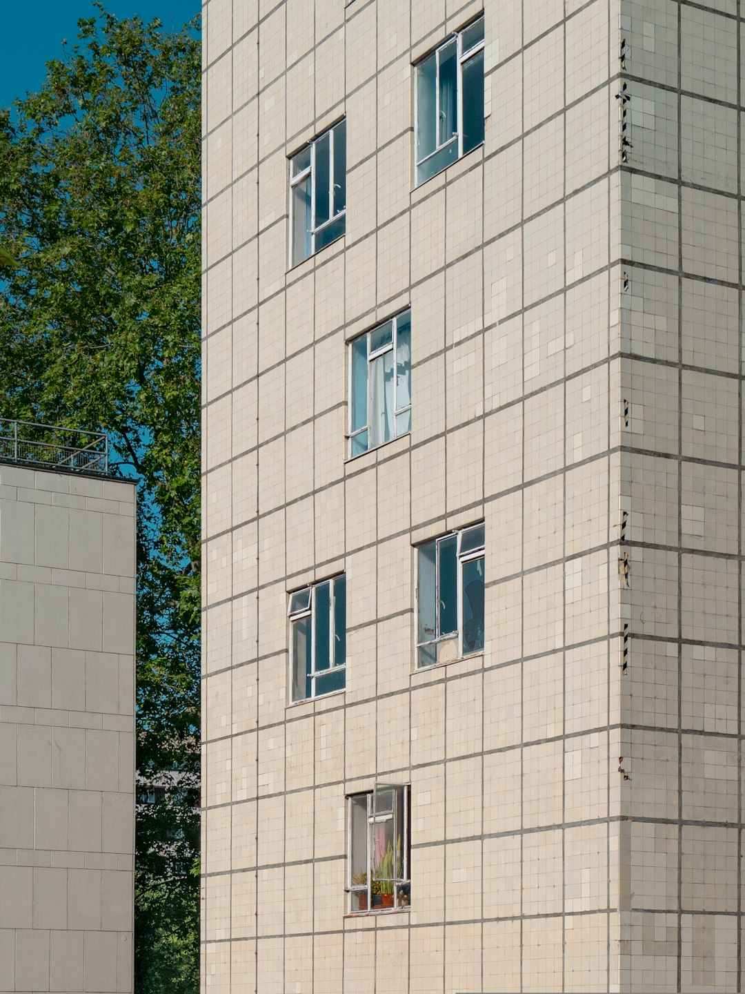 green tree beside brown concrete building during daytime