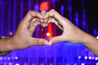 Two hands form a heart shape against a backdrop of colorful lights, with a single red rose held delicately in the center.