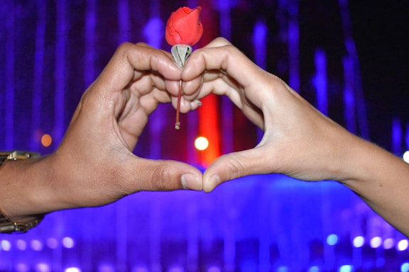 Two hands form a heart shape against a backdrop of colorful lights, with a single red rose held delicately in the center.