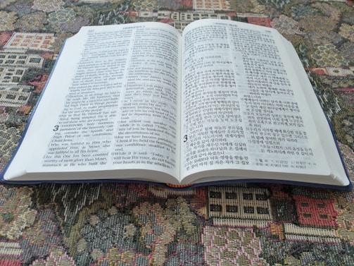 A colorful book with English vocabulary and illustrations.