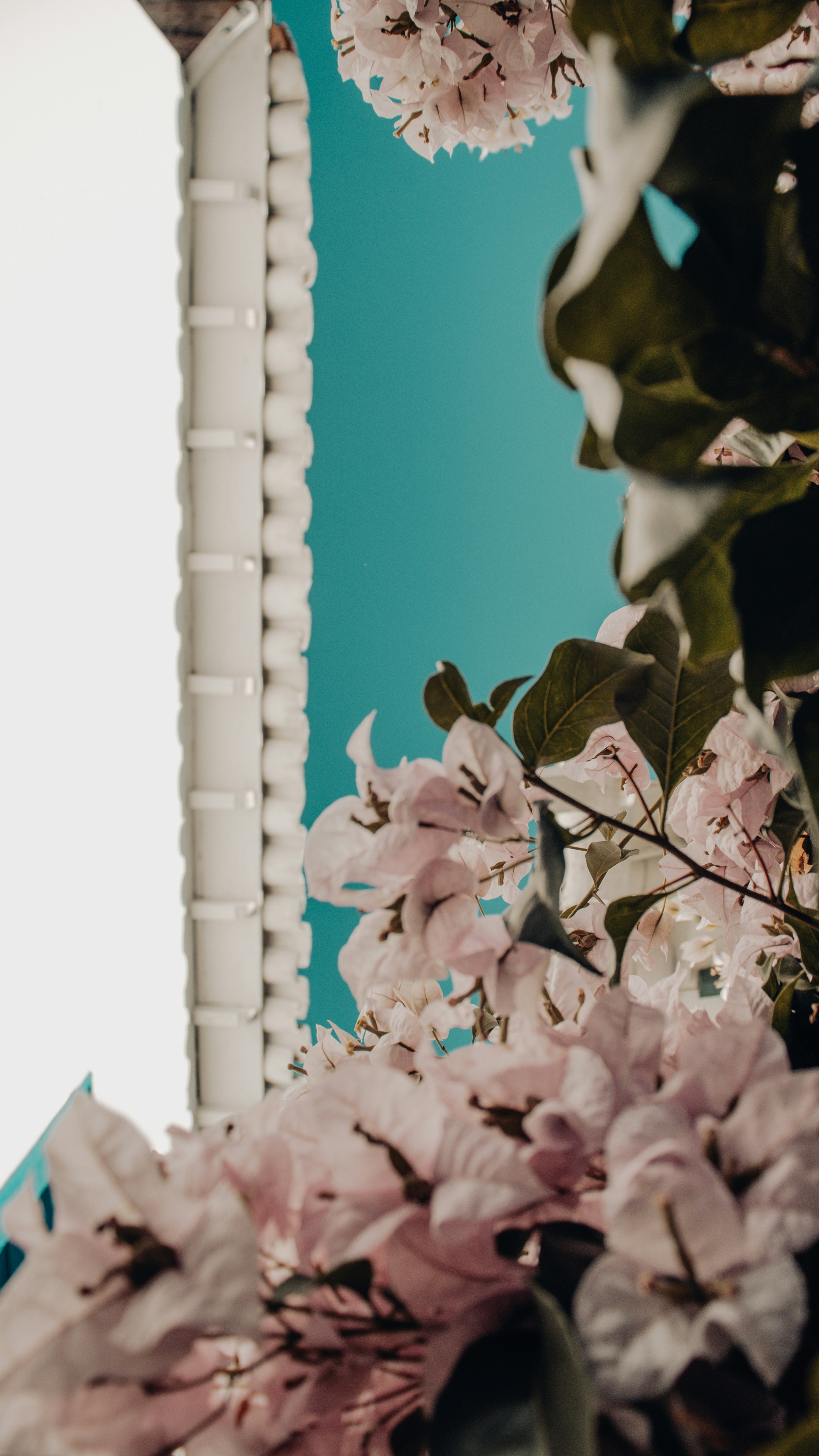 Photo by douglasmendess