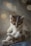 A small kitten with striking blue eyes and a soft, fluffy coat sits curled up. The kitten's fur has a mix of white, grey, and light brown colors. The background has a blurred effect with soft, circular light patterns, giving a dreamy atmosphere.