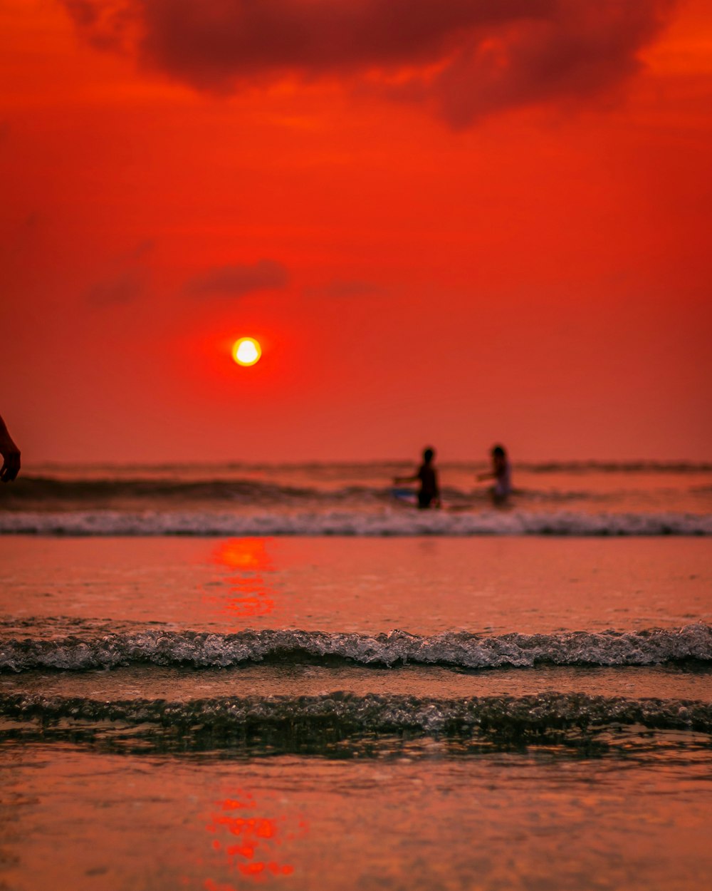 people on beach during sunset