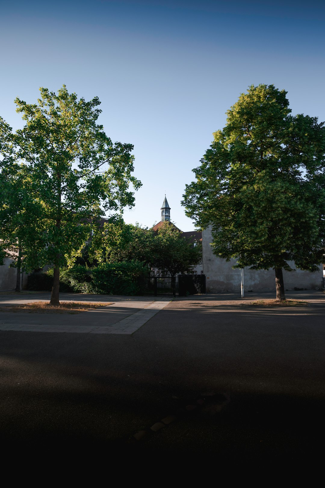 green trees near gray concrete building during daytime