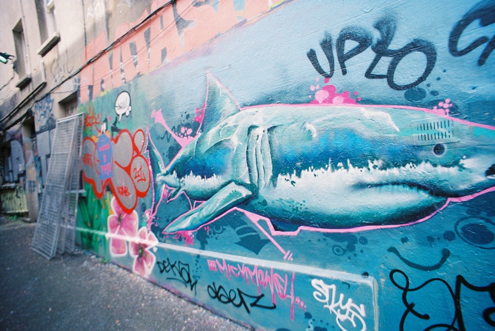 blue and white shark graffiti