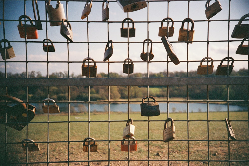 padlocks on black metal fence during daytime