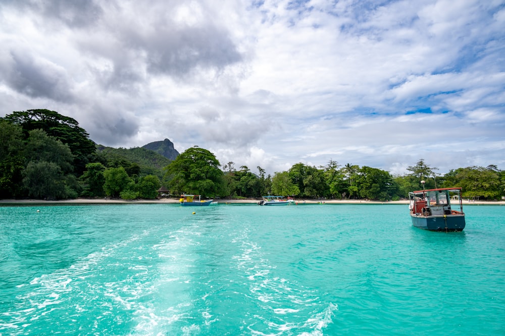 people swimming in the sea during daytime