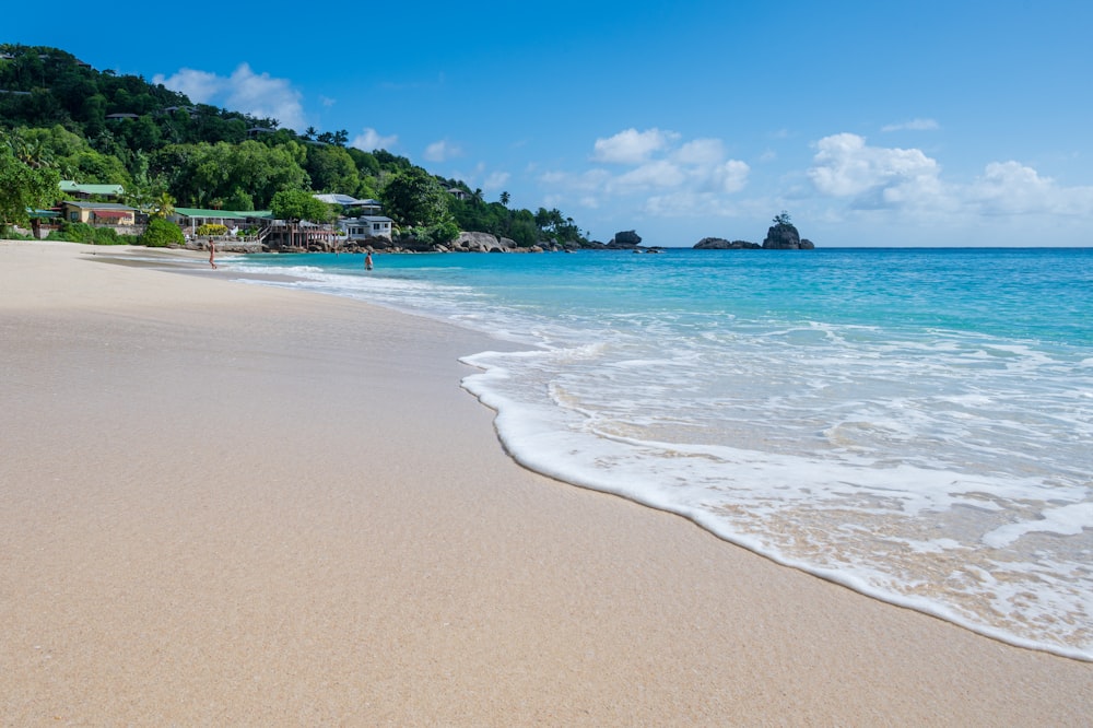 people on beach during daytime