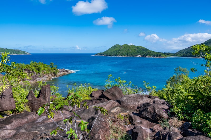 Selva tropical en Mahé