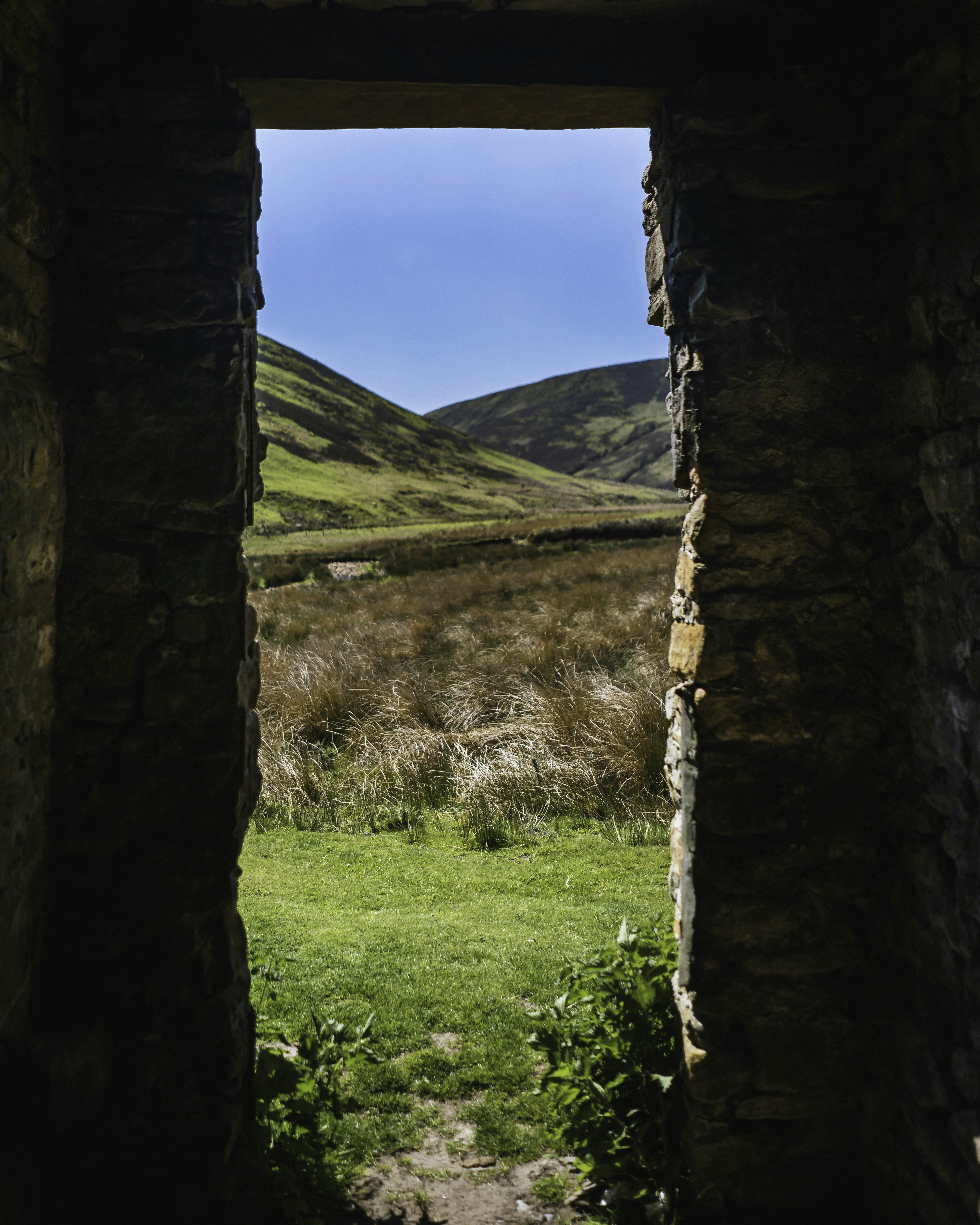 Photo by samuelgirven