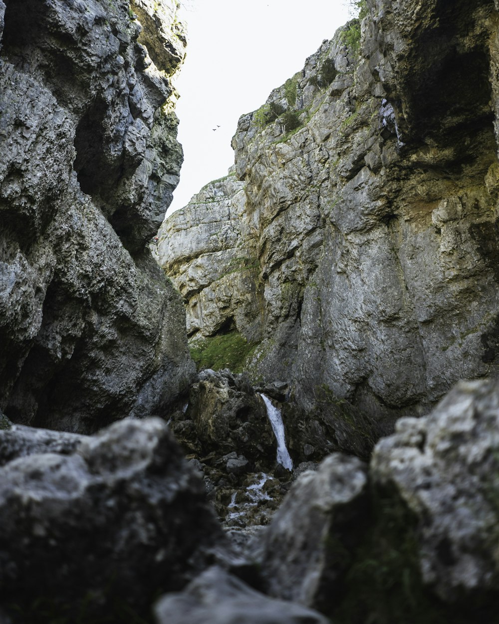 Montaña Rocosa Gris durante el día