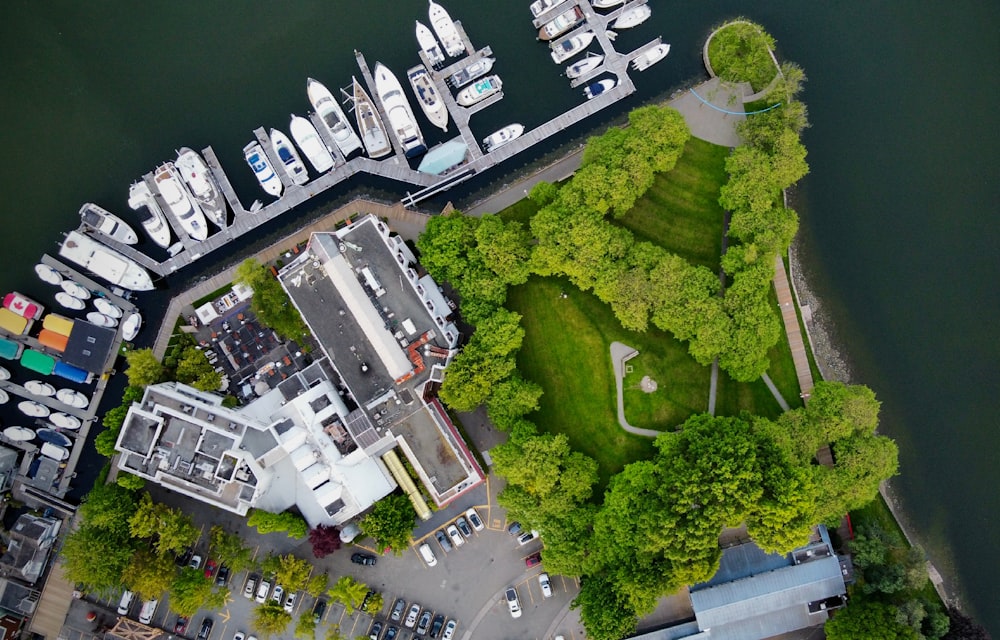 aerial view of green trees and buildings during daytime