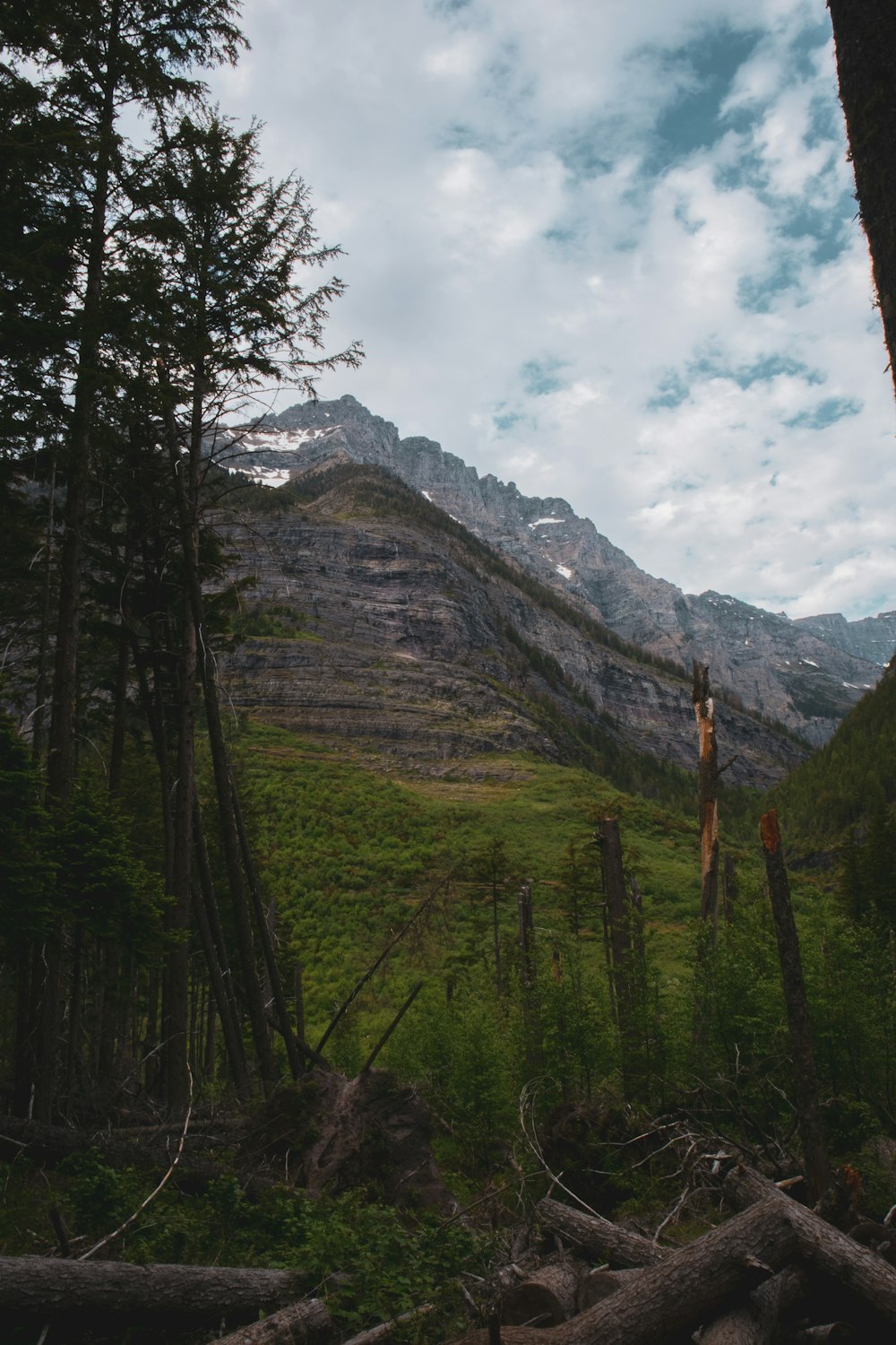 green trees near mountain under white clouds during daytime