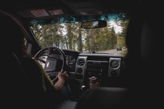 Inside a moving car looking out through the windshield. A person is driving, holding the steering wheel with both hands. The road ahead is lined with tall, green trees, and there are other cars visible in the distance.