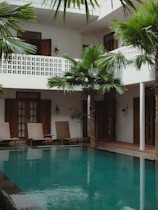 green palm tree near swimming pool