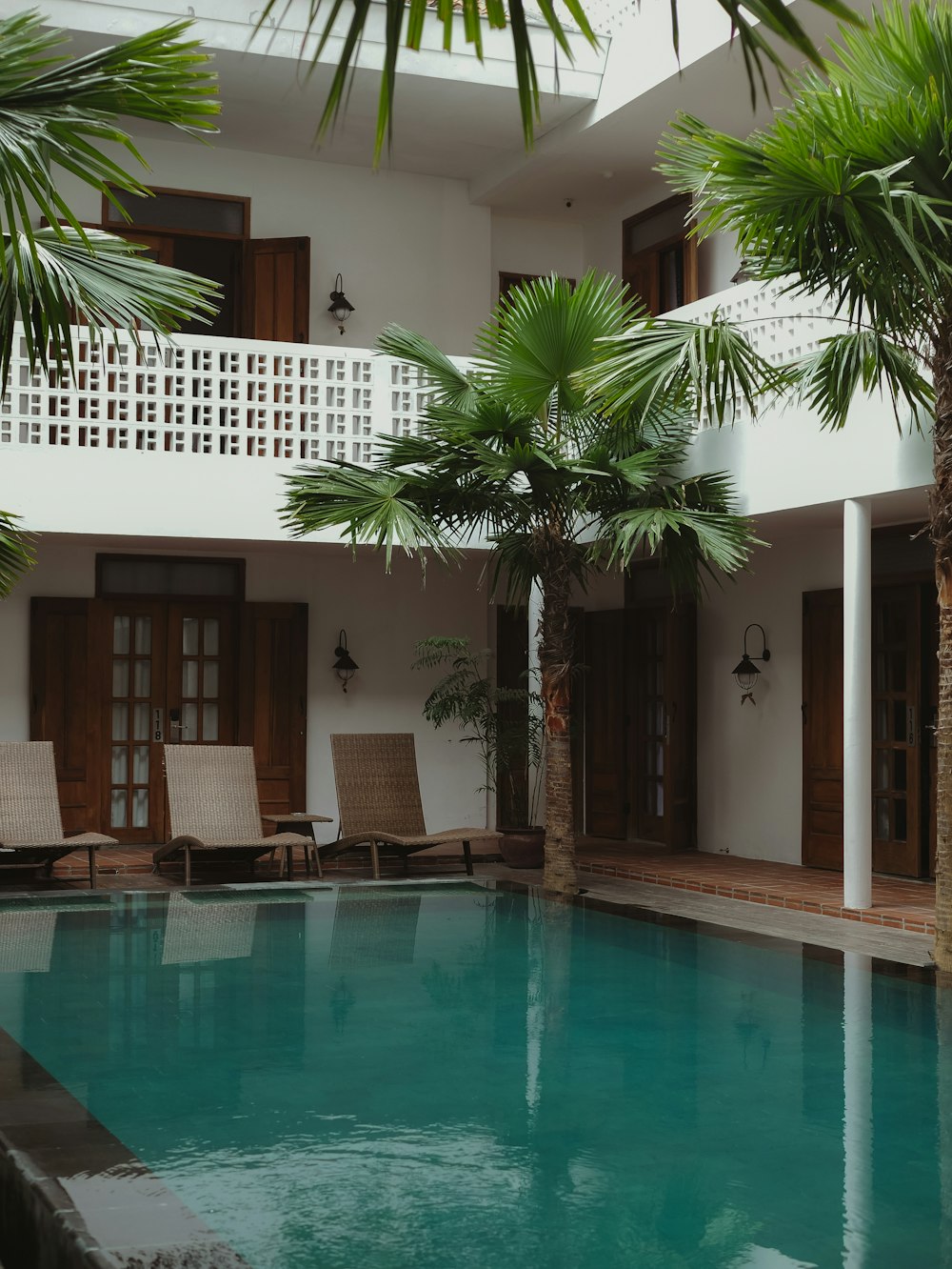 green palm tree near swimming pool