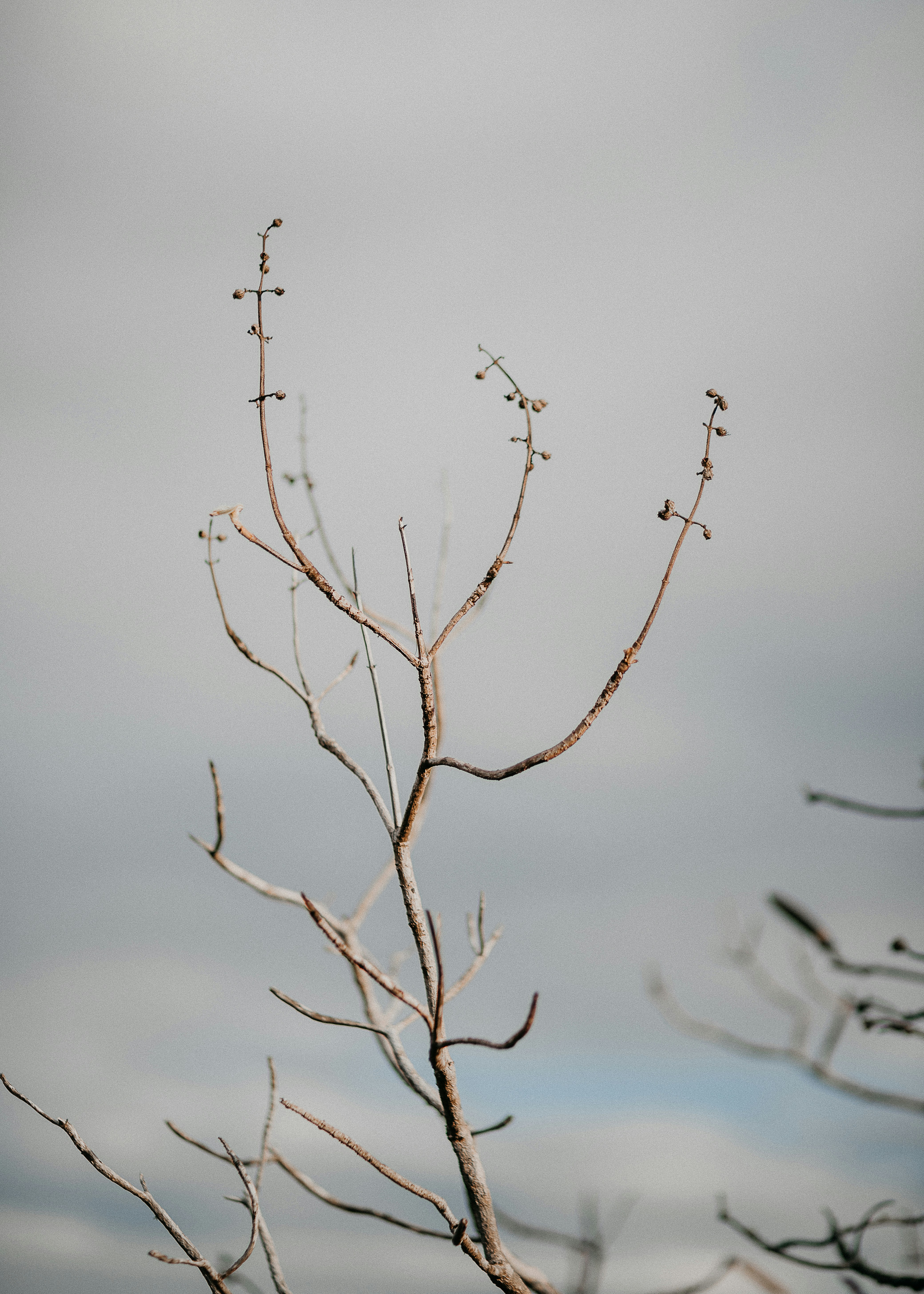 Photo by vitormonthay